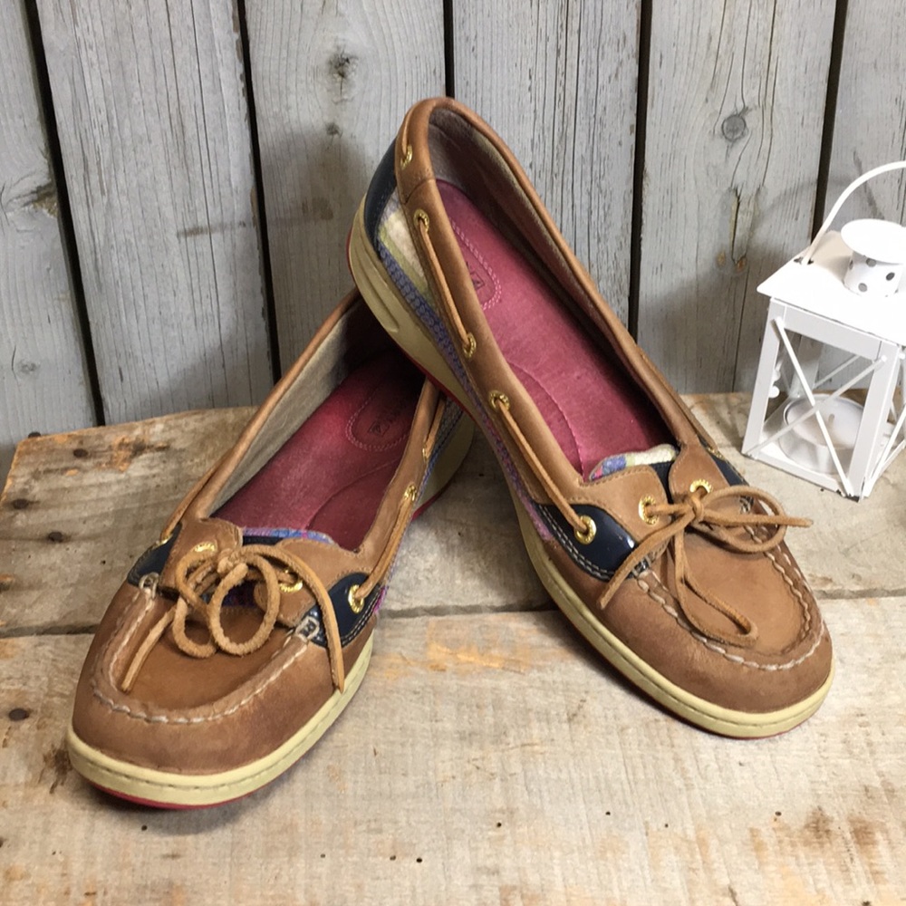 Angelfish Sperry